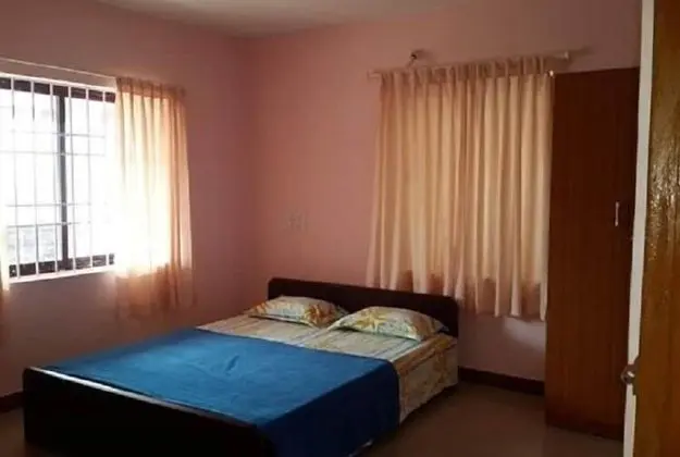 Standard Tek Büyük Yataklı Oda (Non AC)