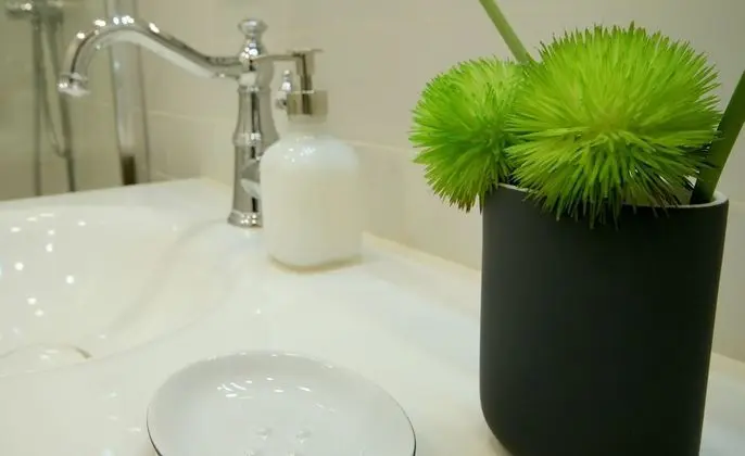 Banyo lavabosu