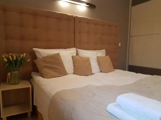 Standard Kır Evi