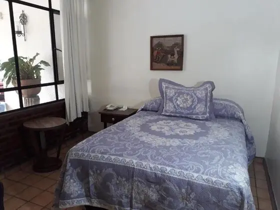 Standard Tek Büyük Yataklı Oda, 1 Çift Kişilik Yatak