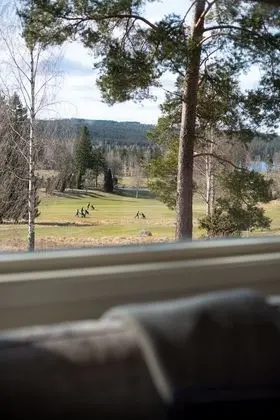 Kır Evi, 2 Yatak Odası