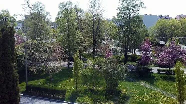 Basic Tek Büyük Yataklı Oda