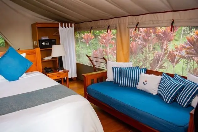 Tent Suite 1 King Bed