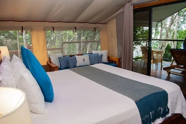 Tent Suite 1 King Bed
