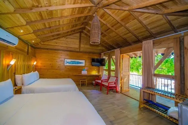 Standard Oda