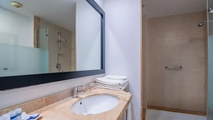 Premium Tek Büyük Yataklı Oda, Balkon