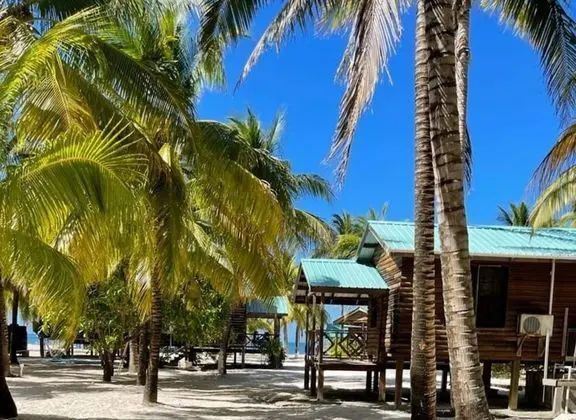 Exclusive Kulübe, 2 Büyük (Queen) Boy Yatak, Sigara İçilmez, Plaj Manzaralı