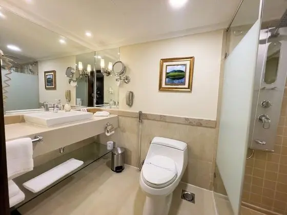 Deluxe Oda, 2 Tek Kişilik Yatak, Sigara İçilebilir