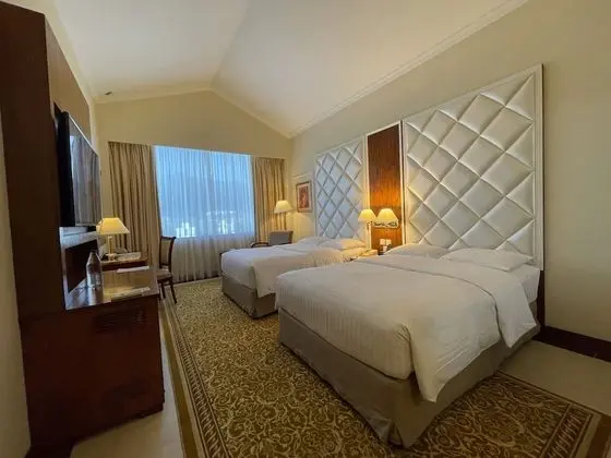Executive Oda, 2 Tek Kişilik Yatak, Sigara İçilebilir