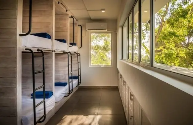 10 Bed Mixed Dorm Rooms