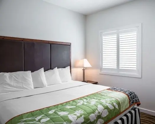 Süit, Birden Çok Yatak, Engellilere Uygun, Sigara İçilmez