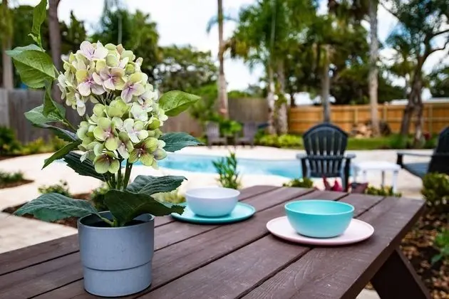 Ev (The Island Oasis)