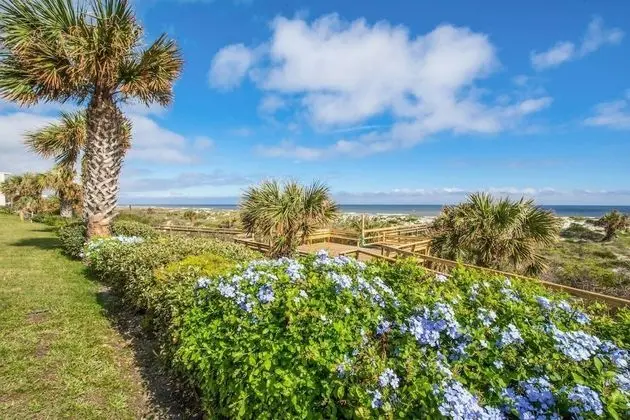 Daire (Island Palms Retreat)