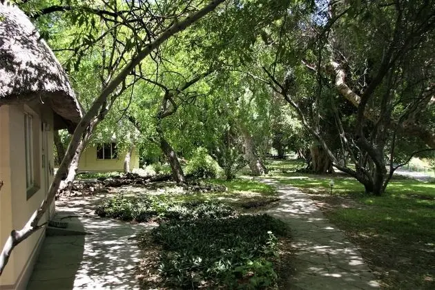 Classic Tek Büyük veya İki Ayrı Yataklı Oda