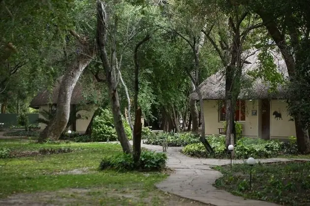 Classic Tek Büyük Yataklı Oda