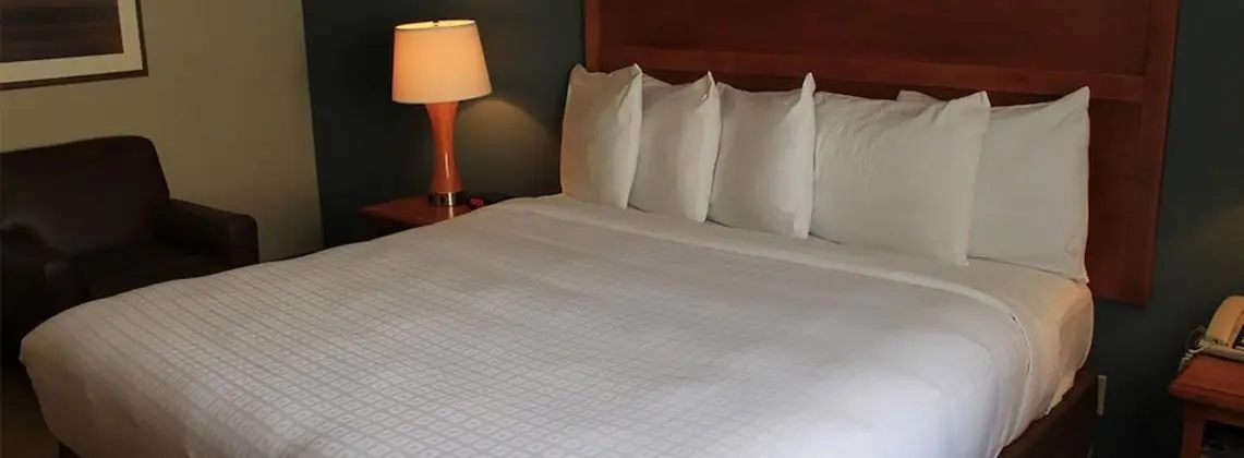 Coral Reef Deluxe Room, 1 King, Smoking