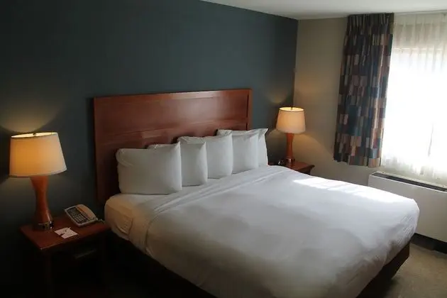 Coral Reef Deluxe Room, 1 King, Smoking