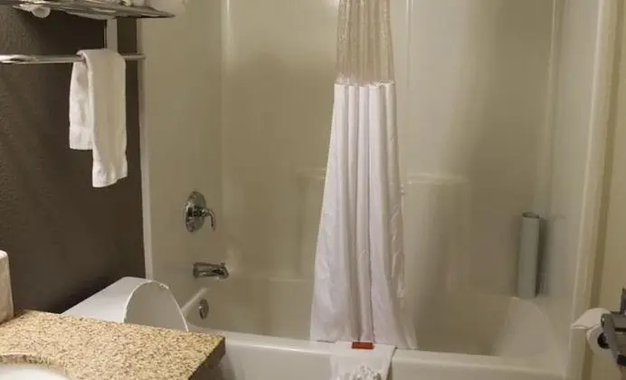 Coral Reef Deluxe Room, 1 King, Smoking