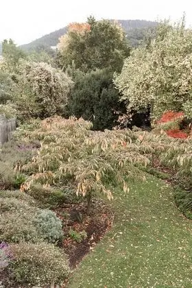 Premium Stüdyo Süit, Dağ Manzaralı