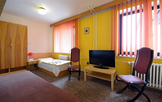 Standard Tek Büyük veya İki Ayrı Yataklı Oda