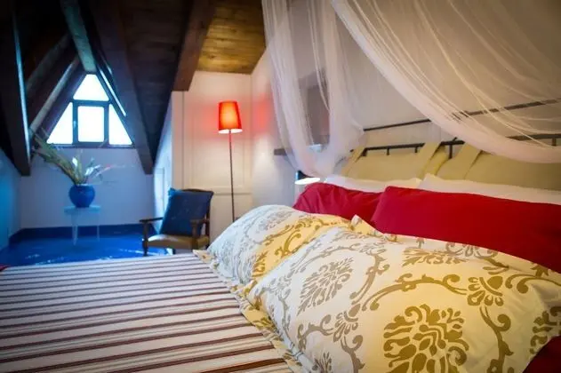 Family Oda (Camera Gecko)