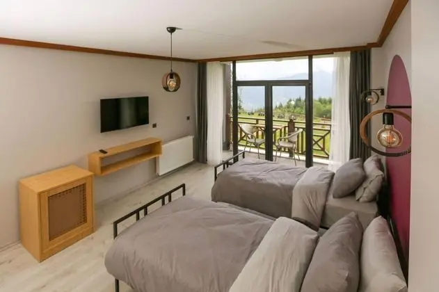 Standart Oda, Dağ Manzaralı, Balkonlu