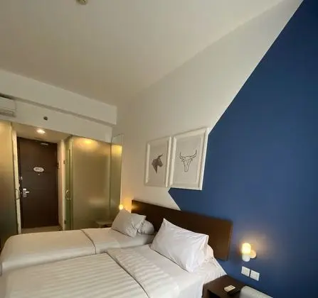 Superior Tek Büyük Yataklı Oda