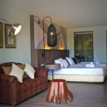 Tree House Suite