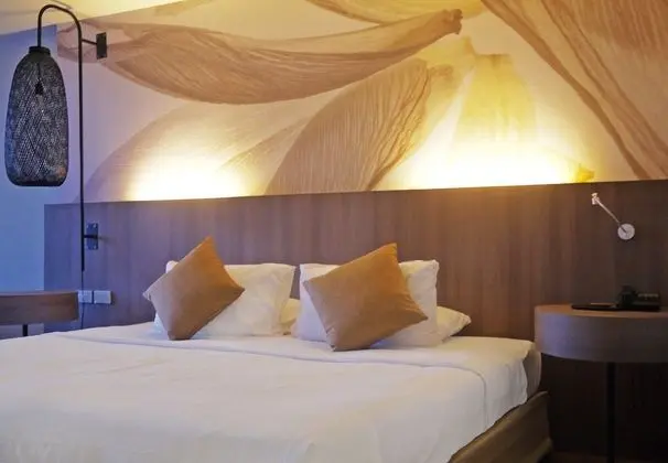 Tree House Suite