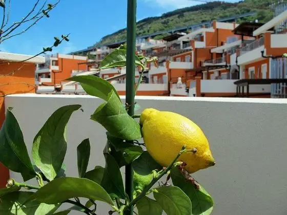 Apart Daire, 2 Yatak Odası, Engellilere Uygun, Veranda