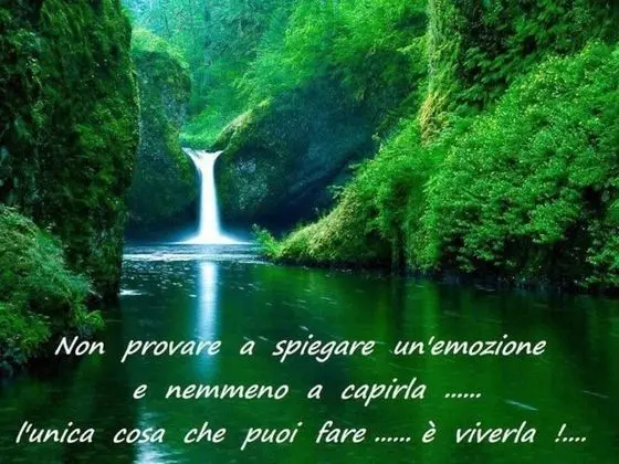 Ev, 1 Yatak Odası, Sigara İçilebilir, Teras