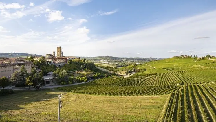 Apart Daire, 1 Yatak Odası (Nebbiolo)