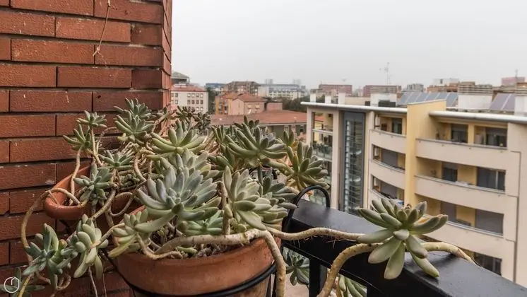 Apart Daire, 1 Büyük (Queen) Boy Yatak ve Çekyat, Mutfak, Şehir Manzaralı