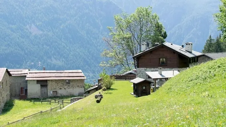 Oda