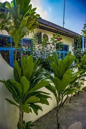 Double Room with Garden/Sea view