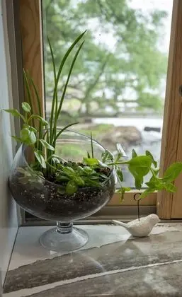 Apart Daire, Özel Banyo, Göl Manzaralı (Lower Unit)