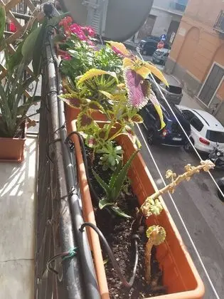 Ev, 2 Yatak Odası, Balkon