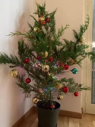 Ev, 2 Yatak Odası, Balkon