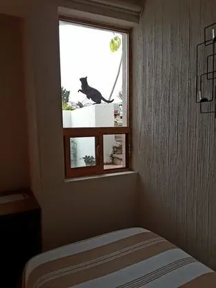 Standard Tek Kişilik Oda