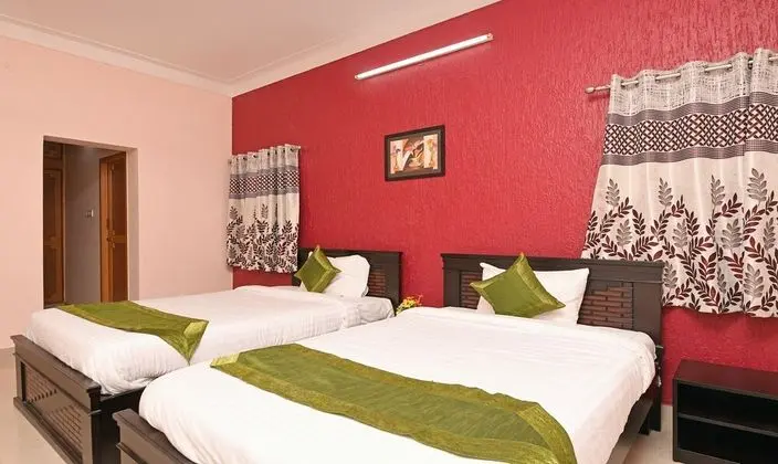 Deluxe Oda, 2 Tek Kişilik Yatak, Sigara İçilmez, Şehir Manzaralı