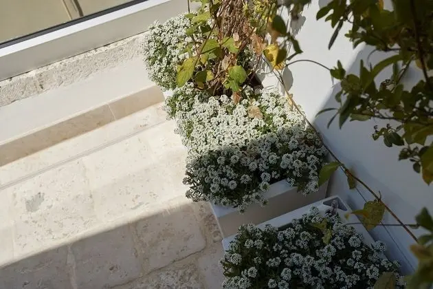 Panoramic Tek Büyük Yataklı Oda, Veranda