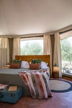 Deluxe Çadır, 1 En Büyük (King) Boy Yatak