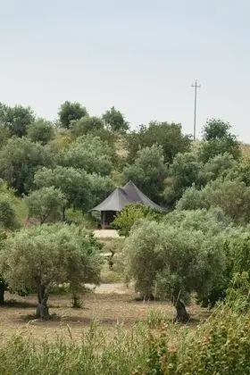 Deluxe Çadır, 1 En Büyük (King) Boy Yatak