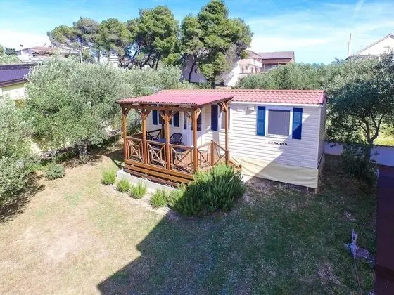 Ev (Iva - great garden - H(3+2))