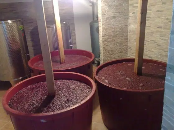 Apart Daire (Ivan - 15 m from beach - A1(7+1))