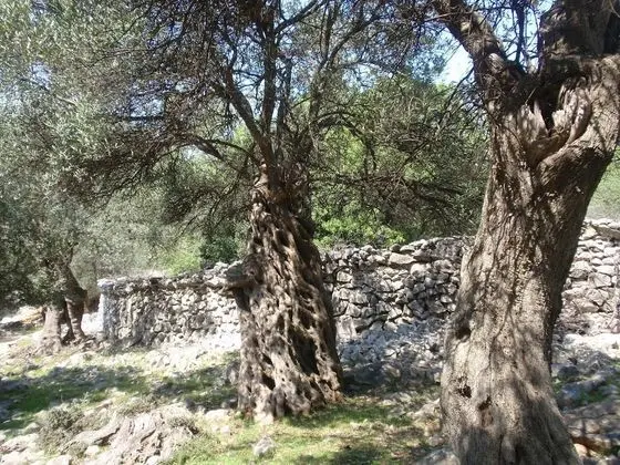 Apart Daire (Ivan - 15 m from beach - A1(7+1))