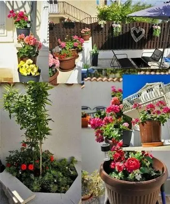 Apart Daire (Ivan - 50 m from sea - A1(4))