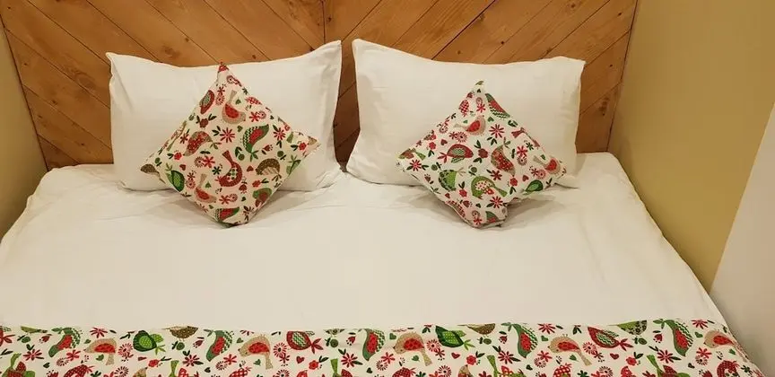 Basic Tek Büyük Yataklı Oda (No Window)