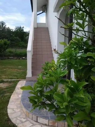 Apart Daire (Ivan - with garden - A1 Plavi (4))