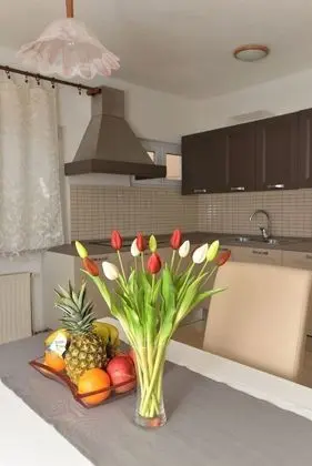 Apart Daire, 2 Yatak Odası (Snjezana)
